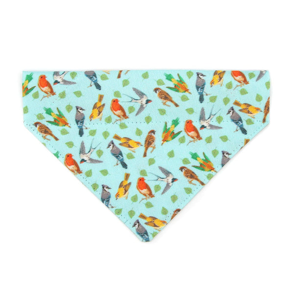 Pet Bandana - 