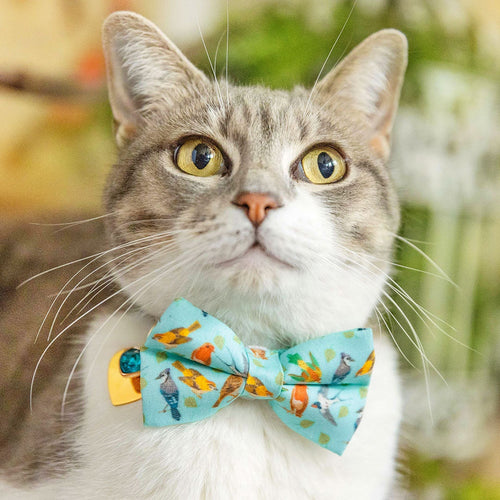 Bow Tie Cat Collar Set - "Birds of a Feather" - Robin's Egg Blue Bird Cat Collar w/ Matching Bowtie / Nature, Bird Lover, Audubon, Sibley / Cat, Kitten, Small Dog Sizes