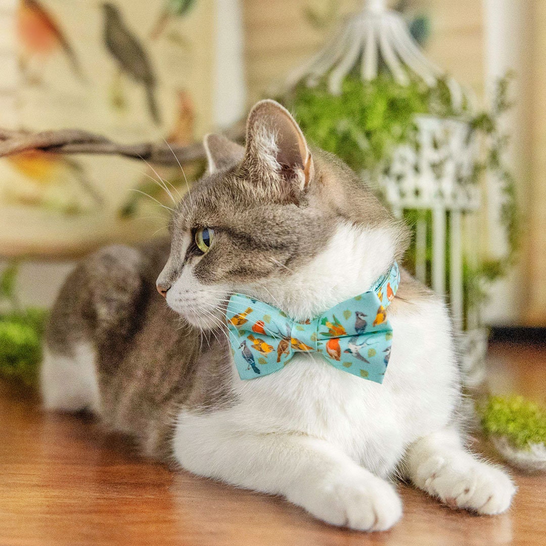 Pet Bow Tie - Birds of a Feather - Robin's Egg Blue Bird Cat Bow Tie -  Made By Cleo