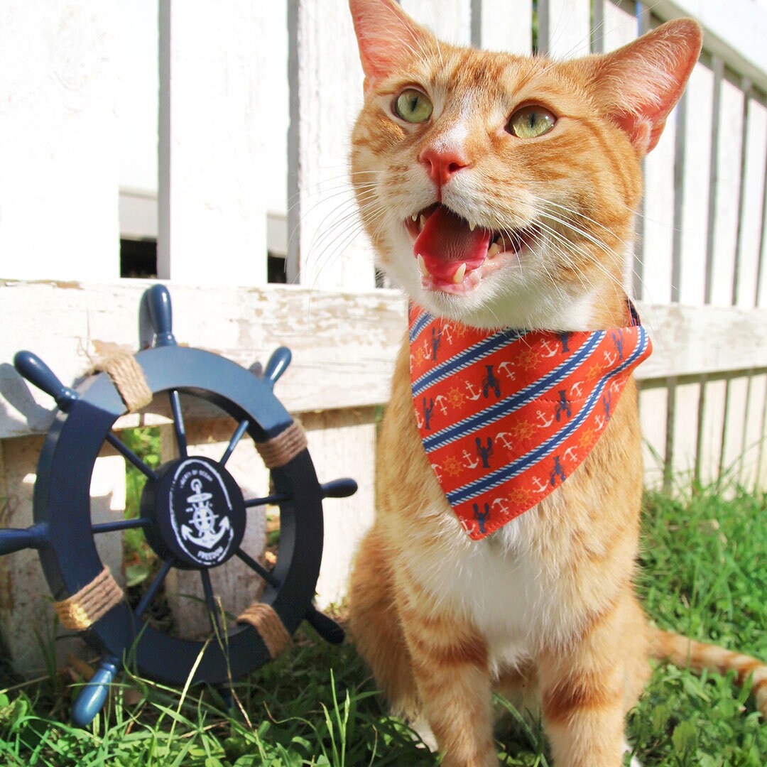 Cat Collar - Nautical Sunset - Coral Red Anchor & Lobster Cat