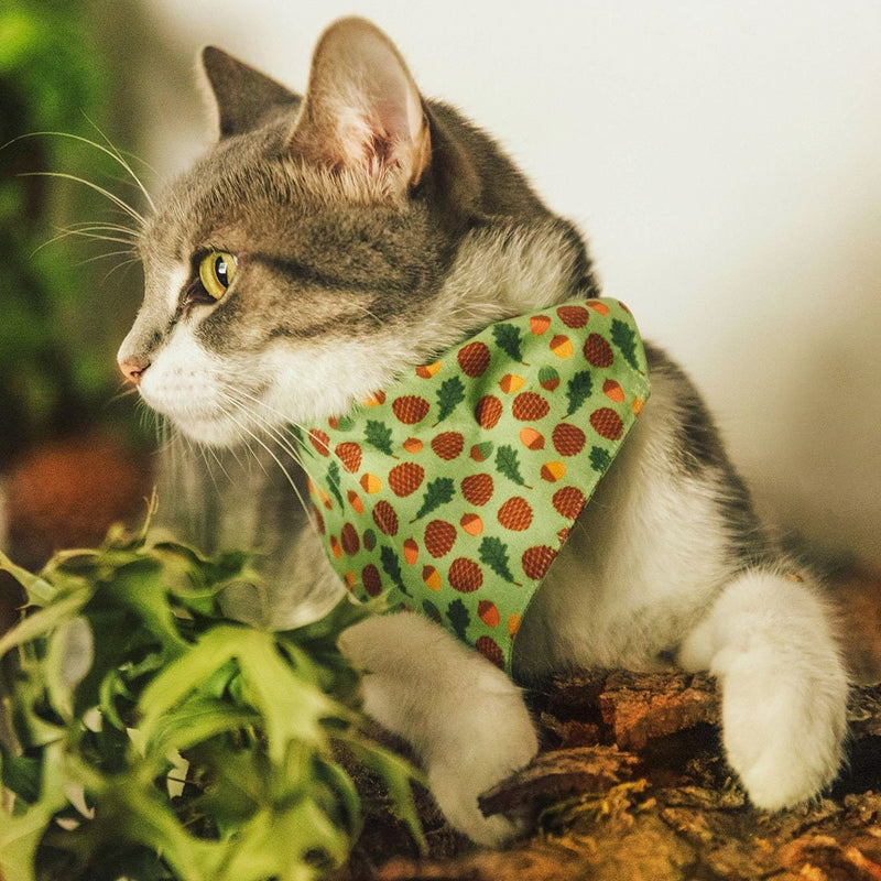 Pet Supplies : Necoichi Ninja Cat Collar (Green) 