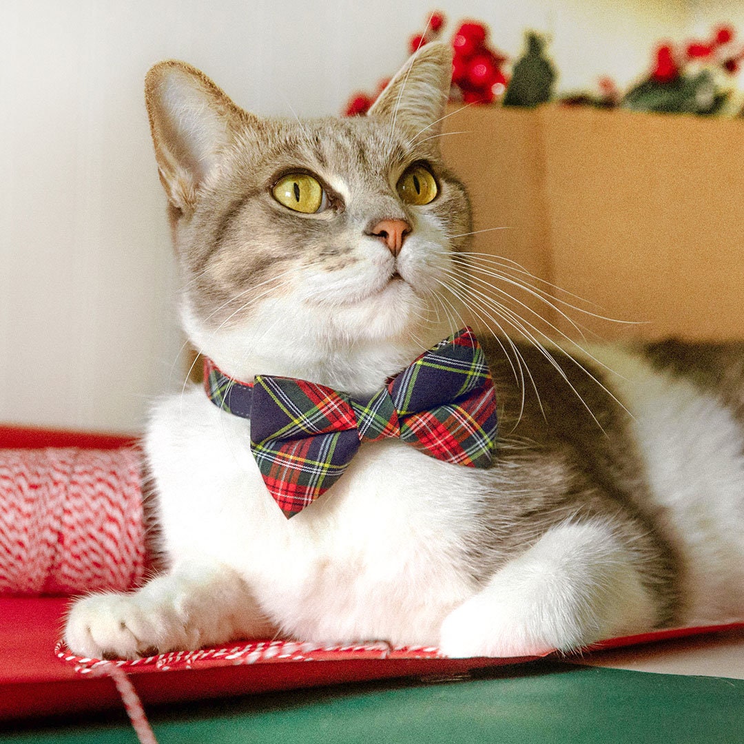 Pet Bow Tie - Merry Gold - Shimmery Gold Leaf Cat Bow Tie / Holiday, -  Made By Cleo