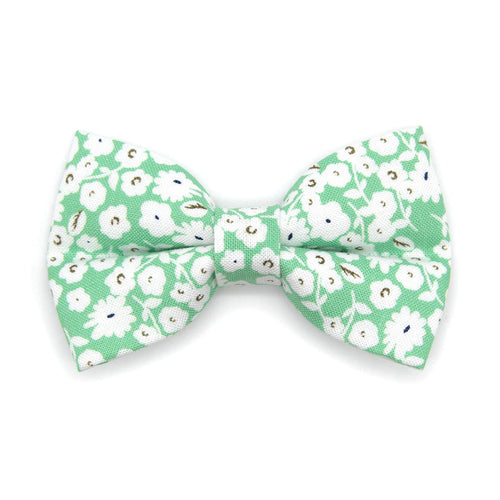 Pet Bow Tie - "Apple Blossom" - Pastel Green Floral Bow Tie / Spring, Easter, Wedding / For Cats + Small Dogs (One Size)